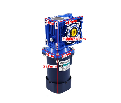 AC220V 40W60W90W120W200W NMRV30/RV40 worm gear brushless motor,With governor,suitable for mechanical equipment,power tools,conveyors,DIY,etc.Multi-speed optional